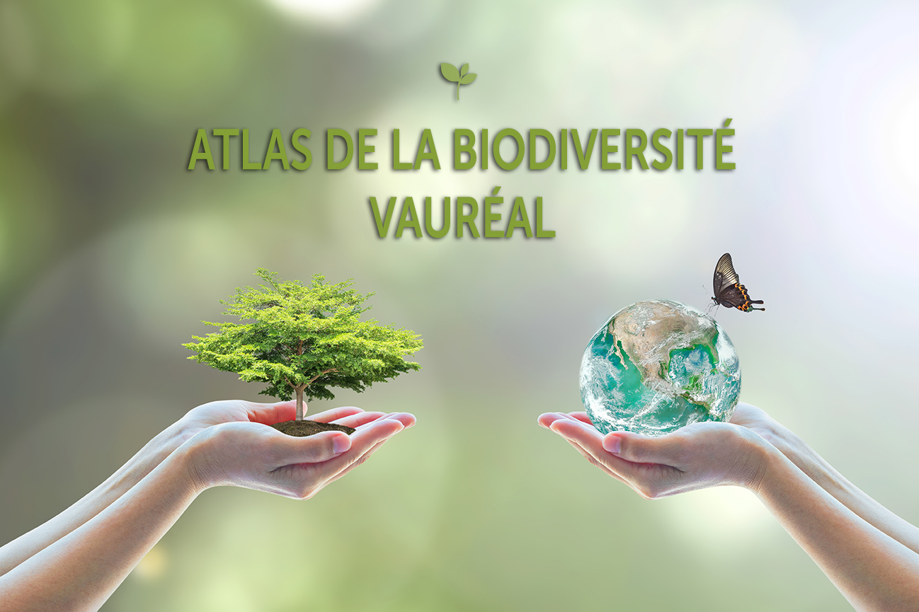 Atlas de la Biodiversité de Vauréal